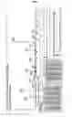 Fig. 02 - PEPTIDES