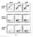 Fig. 03 - Anti-OX40 antibody and application thereof