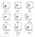 Fig. 04 - Anti-OX40 antibody and application thereof