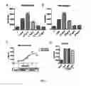 Fig. 09 - Anti-OX40 antibody and application thereof