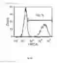 Fig. 09 - Antibodies, pharmaceutical compositions and methods