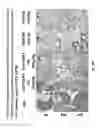 Fig. 28 - Antibodies, pharmaceutical compositions and methods