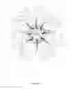 Fig. 03 - Biodegradable polymeric nanoparticle conjugates and use thereof
