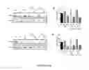 Fig. 05 - Biodegradable polymeric nanoparticle conjugates and use thereof