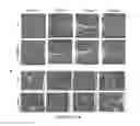 Fig. 09 - Biodegradable polymeric nanoparticle conjugates and use thereof