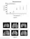 Fig. 13 - Biodegradable polymeric nanoparticle conjugates and use thereof