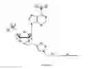 Fig. 15 - Biodegradable polymeric nanoparticle conjugates and use thereof