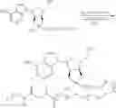 Fig. 16 - Biodegradable polymeric nanoparticle conjugates and use thereof