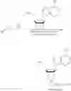 Fig. 19 - Biodegradable polymeric nanoparticle conjugates and use thereof