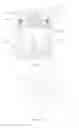 Fig. 09 - Electronic scent producing imitation candle device