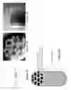 Fig. 07 - Solid forms for tissue repair