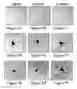Fig. 08 - Solid forms for tissue repair