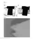 Fig. 02 - POLYETHER ETHER KETONE SURFACE-MODIFIED WITH HYDROXYAPATITE