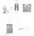 Fig. 02 - INJECTABLE SILK FIBROIN PARTICLES AND USES THEREOF