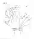 Fig. 02 - Lipolysis radiation paddle