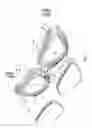 Fig. 02 - Swimming goggle structure