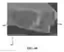 Fig. 07 - Flexible colloidal crystal heterostructure and manufacturing method thereof