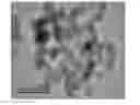 Fig. 01 - Method of preparation and application of ion-keeper adsorbent