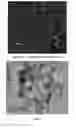 Fig. 02 - Method of preparation and application of ion-keeper adsorbent