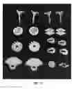 Fig. 32 - Devices and methods for three-dimensional printing