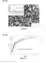 Fig. 07 - Dendrite-reinforced titanium-based metal matrix composites