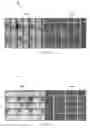 Fig. 03 - Method and functional architecture for inline repair of defective imaging arrays