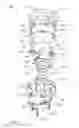 Fig. 09 - Adjustable stroke mechanism for random orbital machine