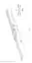 Fig. 06 - Sliding device