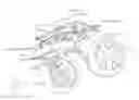 Fig. 01 - Motor vehicle