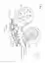 Fig. 03 - Motor vehicle