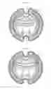 Fig. 09 - METHOD AND APPARATUS FOR FOOD AND DRINK RECEPTACLE