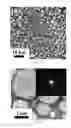 Fig. 02 - PREPARATION METHOD FOR LARGE-SIZE GRAPHENE OXIDE OR GRAPHENE