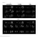 Fig. 09 - Lactone-based probes and methods of use thereof