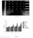 Fig. 09 - Compound I and compound II as well as preparation methods therefor and application thereof