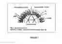 Fig. 02 - Flavivirus Vaccine