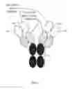 Fig. 02 - Targeted immunotolerance