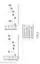 Fig. 04 - Antibodies for IL-17C