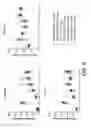 Fig. 09 - Antibodies for IL-17C