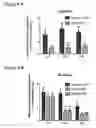 Fig. 05 - HUMAN ANTIBODIES TO GFR ALPHA 3 AND METHODS OF USE THEREOF