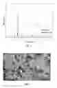 Fig. 02 - Cesium tungsten bronze-based self-cleaning nano heat-insulation coating material and preparation method thereof