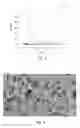 Fig. 03 - Cesium tungsten bronze-based self-cleaning nano heat-insulation coating material and preparation method thereof