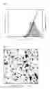 Fig. 02 - METAL DISPERSION WITH INCREASED STABILITY