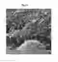 Fig. 03 - Heat transfer medium containing multi-wall carbon nanotubes