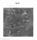 Fig. 08 - Heat transfer medium containing multi-wall carbon nanotubes