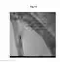 Fig. 09 - Heat transfer medium containing multi-wall carbon nanotubes
