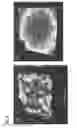Fig. 06 - Wavelength conversion element, light emitting device and method for producing a wavelength conversion element