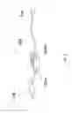 Fig. 03 - SCENTED CABLE