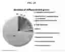 Fig. 20 - Cell populations, methods of transdifferentiation and methods of use thereof
