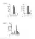 Fig. 08 - Compositions and methods for modulating an immune response