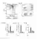Fig. 09 - Compositions and methods for modulating an immune response